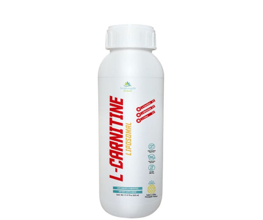 Nano Liposomal L-carnitine fortified with L-Metionine and L-Lisine Nano Lisposomal unique formula 650mL